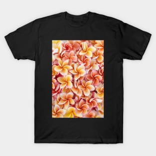 Peach Plumeria T-Shirt